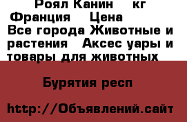  Роял Канин 20 кг Франция! › Цена ­ 3 520 - Все города Животные и растения » Аксесcуары и товары для животных   . Бурятия респ.